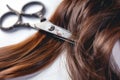 closeup of scissors snipping brunette hair strands Royalty Free Stock Photo