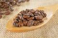 Closeup scoop of coffee beans Royalty Free Stock Photo