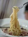 Scoop fork Spaghetti Carbonara Golden Yellow Cream Pasta Sauce