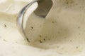 Closeup of scooping lemon mint sorbet Royalty Free Stock Photo