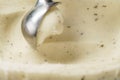 Closeup of scooping lemon mint sorbet Royalty Free Stock Photo