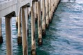 Closeup of the Sea and Barnacles Growing On Pilings of the Huntington Beach Pier Royalty Free Stock Photo