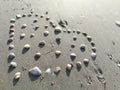 Closeup Sea shell make arranged hearts shape on gray sand beach with sun light on summer Royalty Free Stock Photo
