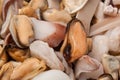 Seafood stir fry in stove Royalty Free Stock Photo