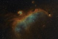 Closeup of the Seagull nebula (IC 2177) in space viewed in the HSO palette Royalty Free Stock Photo