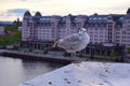 Closeup seagull on the roof in Oslo Norway