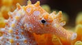 Closeup of a seahorses textured skin intricately patterned with tiny bumps and ridges