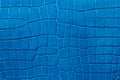 Closeup of seamless blue leather texture Royalty Free Stock Photo