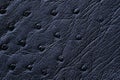 Closeup of seamless blue leather texture Royalty Free Stock Photo