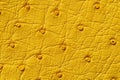 Closeup of seamless yellow leather texture Royalty Free Stock Photo
