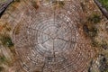 Closeup of a section of a tree trunk with annual rings