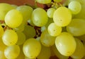 green Shine Muscat grape