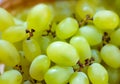 green Shine Muscat grape