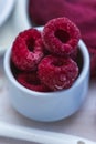 Closeup selective focus shot of a small portion of tasty looking raspberries