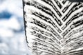 Closeup selective focus on snow packed in an all-weather tire tread. Royalty Free Stock Photo