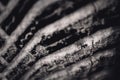 Closeup selective focus on snow packed in an all-weather tire tread. Royalty Free Stock Photo