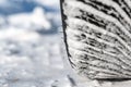 Closeup selective focus on snow packed in an all-weather tire tread. Royalty Free Stock Photo