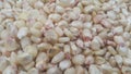 Closeup selectively focues view of jowar & x28;Sorghum& x29; arrange as background Royalty Free Stock Photo