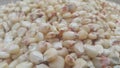 Closeup selectively focues view of jowar & x28;Sorghum& x29; arrange as background Royalty Free Stock Photo