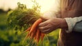 Closeup of senior man human hands taking putting fresh carrots with green leaves. Generative AI