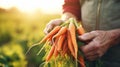 Closeup of senior man human hands taking putting fresh carrots with green leaves. Generative AI