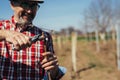 Closeup of senior man pruning in vineyard Royalty Free Stock Photo