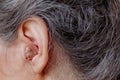 Closeup senior woman inserting hearing aid in her ears Royalty Free Stock Photo