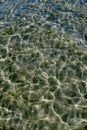 A closeup of the shallow seabed with shells at the bottom, crystal clear water on the surface of a sea. Clear sparkling