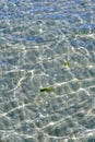 Closeup of shallow waves on a coastline on a sunny day outside. Above view of sunlight reflecting on calm water ripples Royalty Free Stock Photo