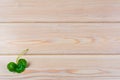 Closeup shamrock setup on rustic wooden background Royalty Free Stock Photo