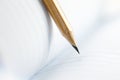 Closeup of sharp graphite pencil on white paper of notebook.  Concept of The National Day of Knowledge or International literacy Royalty Free Stock Photo