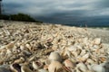 Closeup of shell beach with dramatic black storm sky at Sanibel Island Royalty Free Stock Photo