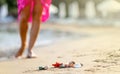 Closeup shells on sand  blurred of barefoot female young adult lower body relaxing in sea water on summer holiday. Sunset light. Royalty Free Stock Photo