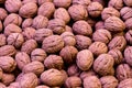 Closeup shoot of the walnuts Royalty Free Stock Photo
