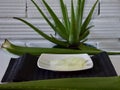 Closeup shot of an aloe vera plant with the inner juice on a plate Royalty Free Stock Photo