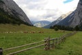 Closeup shot of the Alpine pastures and meadows in the Austrian Alps Royalty Free Stock Photo