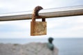 Closeup shot of antique locks on white background Royalty Free Stock Photo