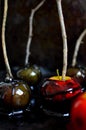 Closeup shot of apples in caramel sauce Royalty Free Stock Photo