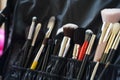 Closeup shot of an array of diverse makeup brushes stored in a pouch