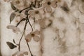 Closeup shot of artificial floral decorations with white flowers on branches Royalty Free Stock Photo