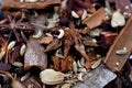 Closeup shot of an assortment of spices