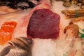 Closeup shot of Atlantic bluefin tuna (Thunnus thynnus) with a variety of fish and seafood on ice