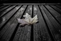 Closeup shot of an autumn maple leaf covered with dewdrops isolated on a wooden surface Royalty Free Stock Photo