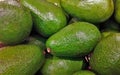 Closeup shot of avocadoes next to each other Royalty Free Stock Photo