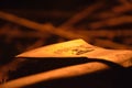 Closeup shot of an ax on the pile of firewood