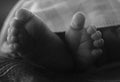 Closeup shot of baby feet on a bed in grayscale Royalty Free Stock Photo