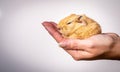 Closeup shot of a baby guinea pig in the palm of a person on a white background