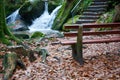 Closeup shot of the backside of a wooden bench in a forest covered with fallen leaves