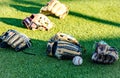 Closeup shot of baseball gloves and a ball on green grass Royalty Free Stock Photo