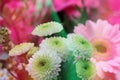 Closeup shot of a beautiful bouquet of chrysanthemums and gerberas